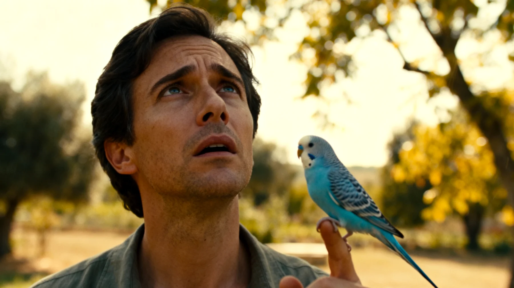 Wellensittiche können im Garten nicht effektiv trainiert werden, da die offene Umgebung zu viele Ablenkungen bietet und das Risiko besteht, dass der Vogel entfliegt oder sich Gefahren durch Raubvögel, Katzen oder Umwelteinflüsse ausgesetzt ist"